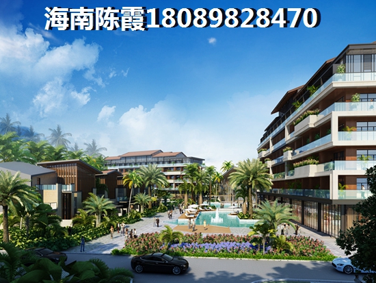 珊瑚海動(dòng)靜分區(qū)