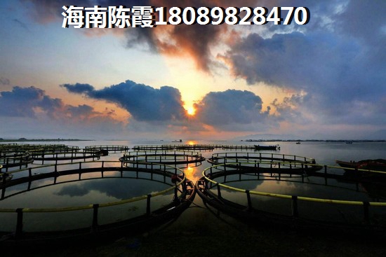 椰海溫泉嘉苑二期新房