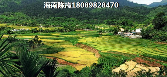 碧桂園瀾江華府