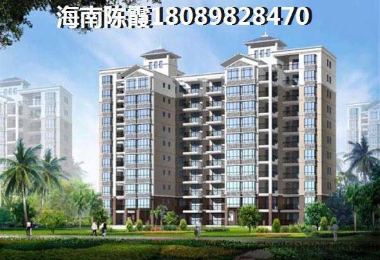 海南信達(dá)南麗湖1號(hào)