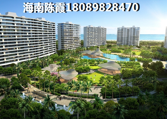 玉海金華VS隆鑫諾亞方舟分析對比