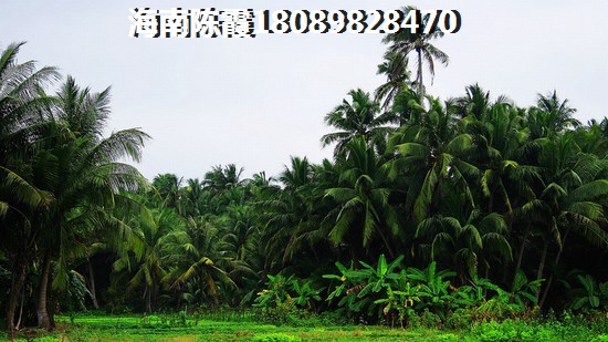 納帕溪谷買(mǎi)房